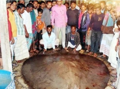 Bangladesh fishermen recovers 6 tonne fish 